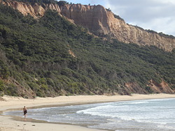 Point Addis (Addiscot) photo