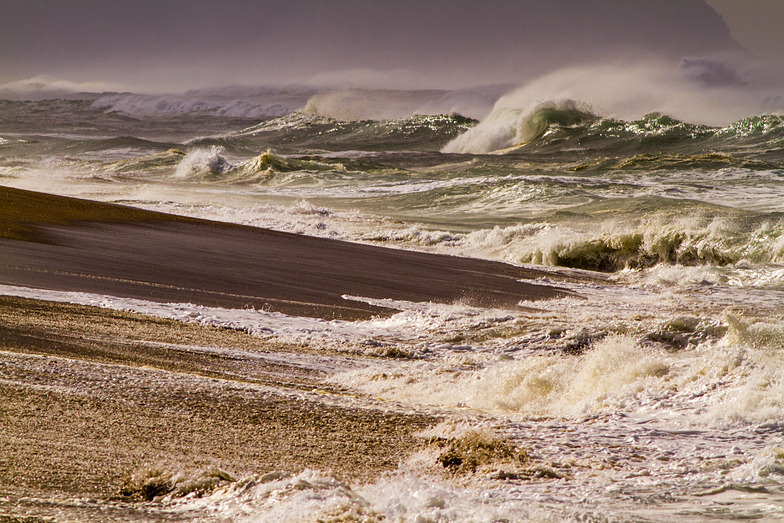 Point Reyes Beach surf break