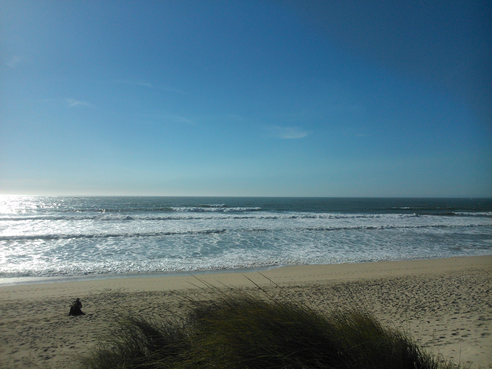 Esposende April's Fool Day