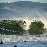 Committed, The Wedge