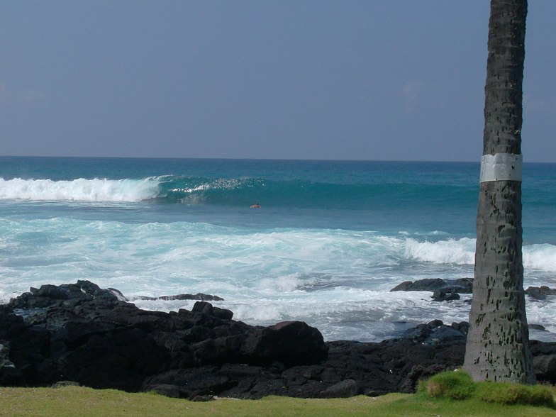 Waiaha Rivermouth, Waiaha Rivermouth / Honls