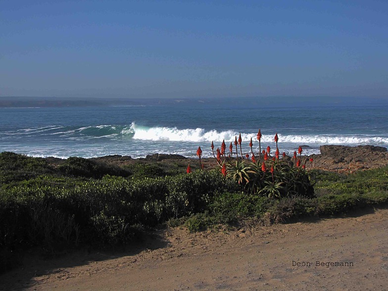 Stillbaai surf break