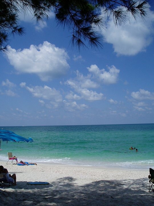 Turtle Beach (Siesta Key) - 2021 All You Need to Know BEFORE You Go (with  Photos) - Tripadvisor