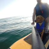 paddle surf con mi perro, La Herradura