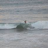 Surfer Riz, Dewata