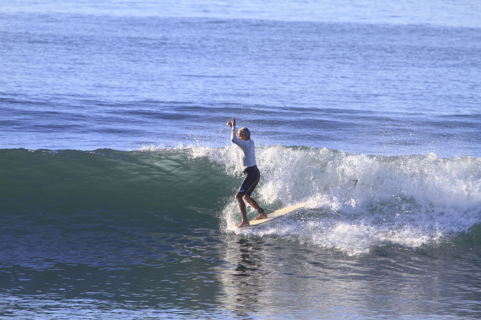 Tratando......, El Zunzal