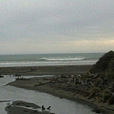 Himatangi Beach