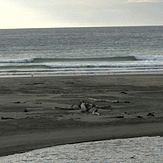 Himatangi Beach