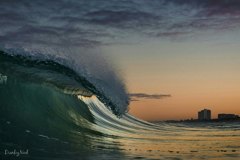 Sharkbait, Scarborough Beach