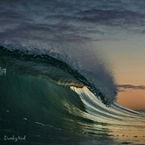 Sharkbait, Scarborough Beach