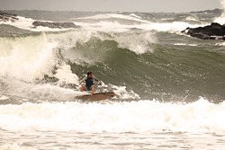 Max, Ahtopol photo