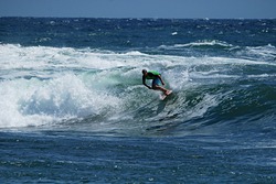 Max, Ahtopol photo