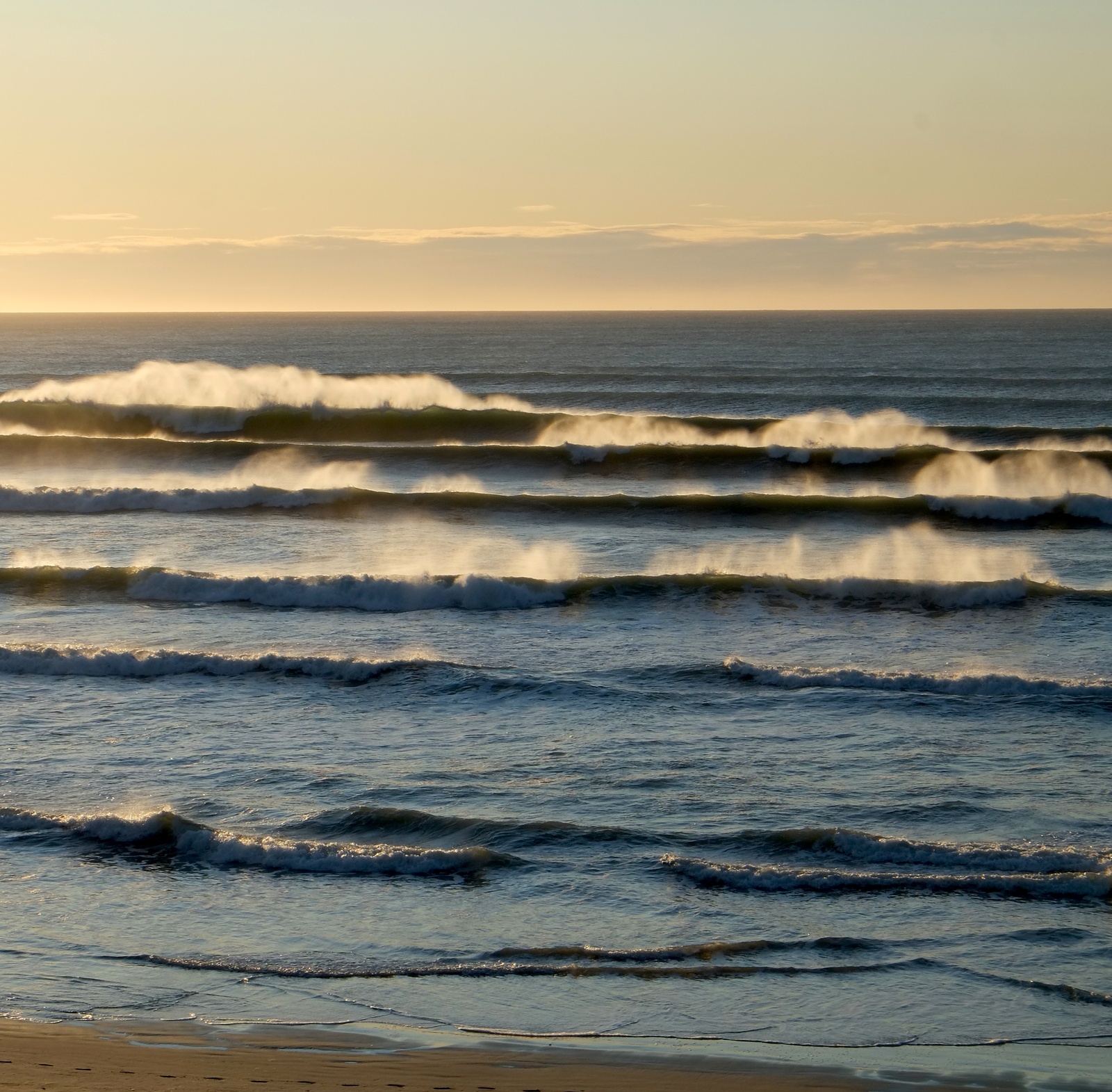 Spring evening at Wharariki, Wharariki Beach