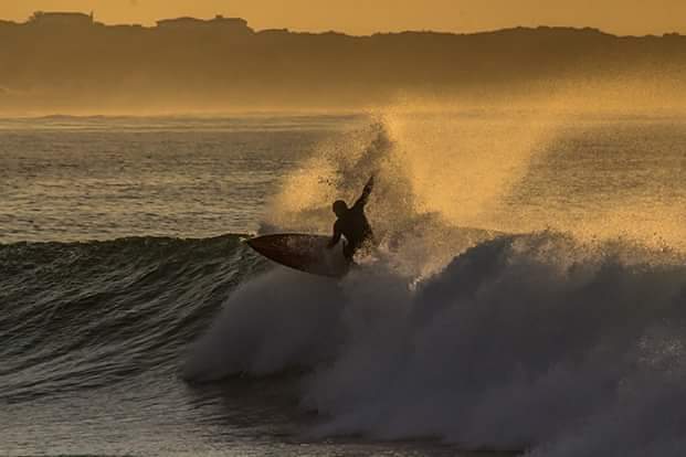 Early riser, Seal Point