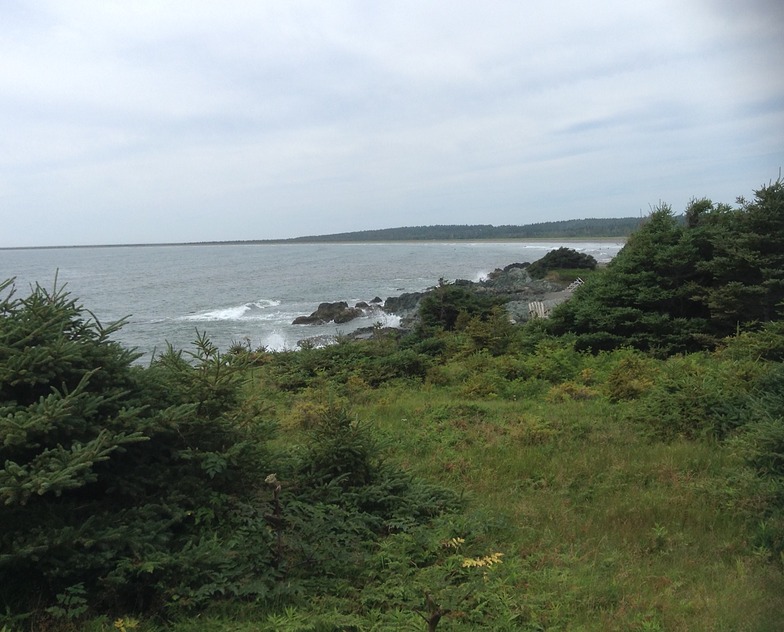 Rugged coast, Michaud Point