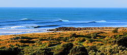 Waiwakaiho photo