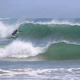 Solid Lefts, Langosta