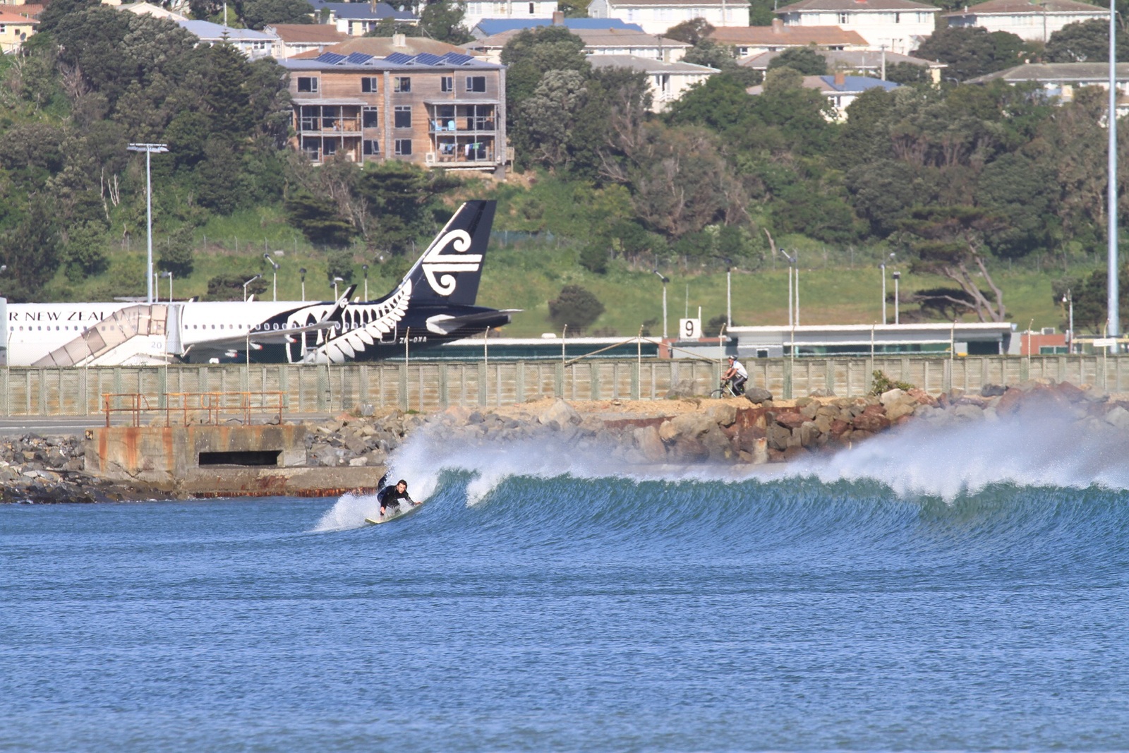 Lyall Bay