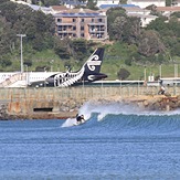 Lyall Bay