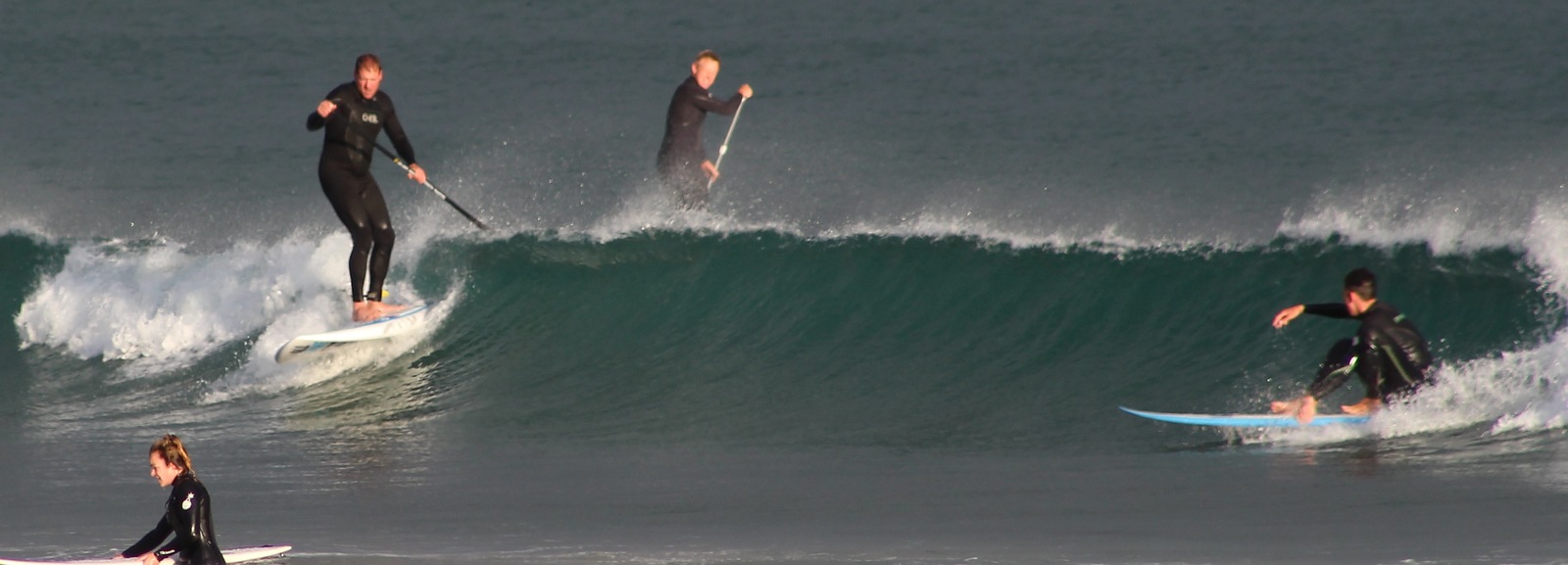 Yeah, we coexist here, Lyall Bay