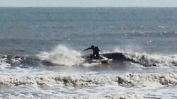 Tide Chart Holly Beach La