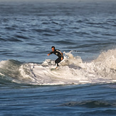 Surfing, The Wedge