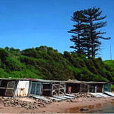 boat sheds, Sandon Point