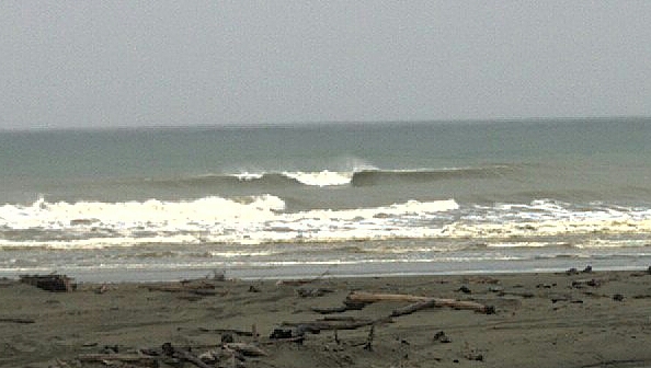 Himatangi Beach