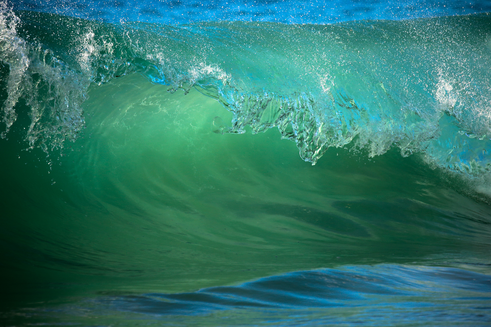 The wave, The Wedge