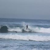 Praia de Mira