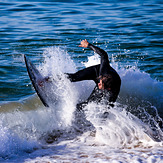 Surfing, The Wedge