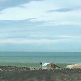 Small Spring swell, Morgan Street (North Mole)