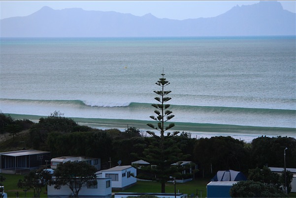 Cove frother, Waipu Cove