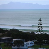 Cove frother, Waipu Cove