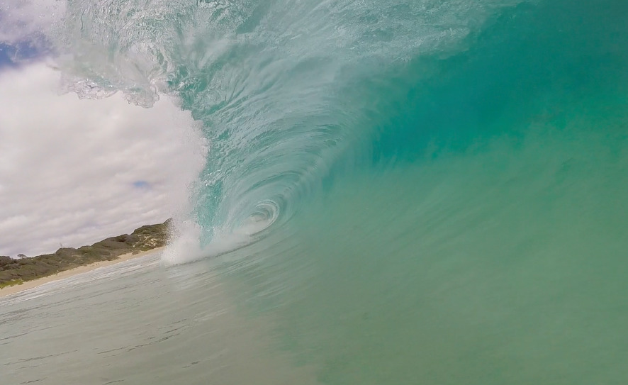 Rabbits as good as I've seen, Rabbit Hill