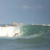 Aeropuerto Big wave, Los Pocitos