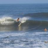 black beard, Punta Roca