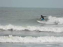 black beard, Pradomar photo