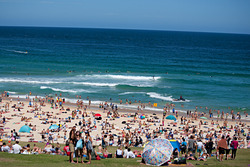 New Years Day 2016, Bondi Beach photo