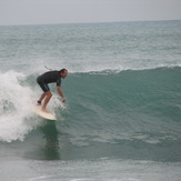 Whale, Raglan-Whale Bay