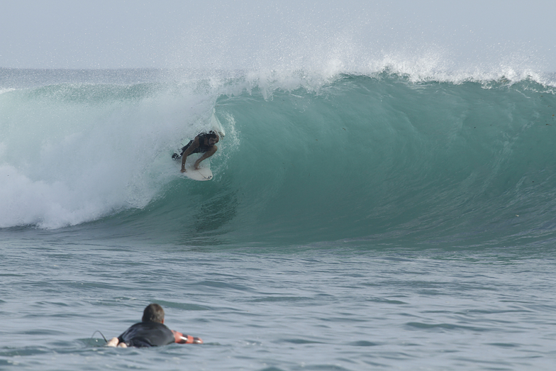 Surfer - Mauro Isola - PE, Macaronis