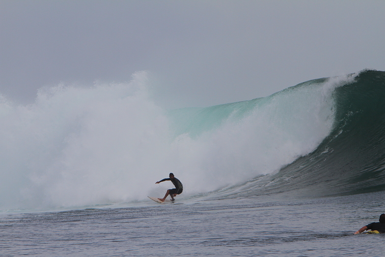 Surfer - Mauro Isola - PE, Grajagan Bay/G-Land