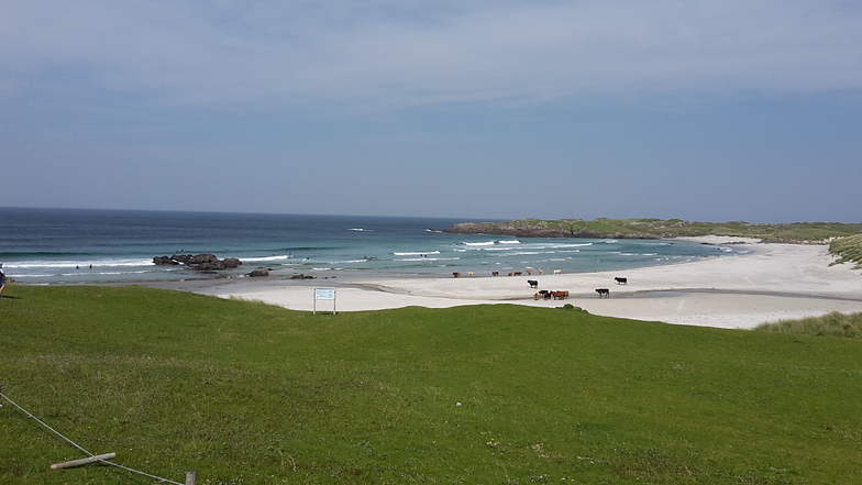 Summer 2015, Balevullin (Tiree)