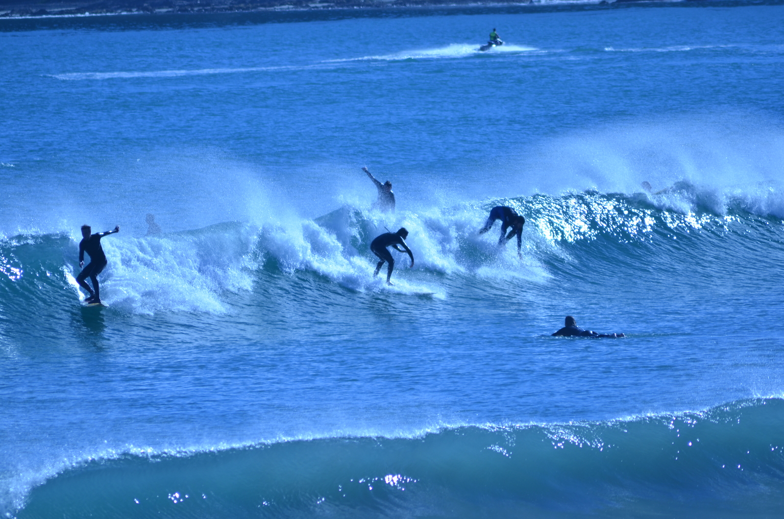 Packed out at Lyall Bay