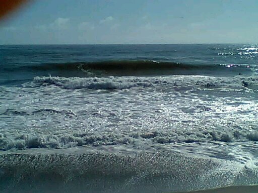 Nice Lil Shorey at Home., Matata