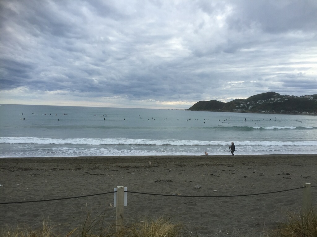 Normal Lyall Bay