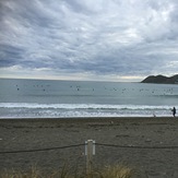 Normal Lyall Bay