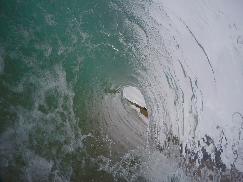 Shorey, Wainui Beach - Whales