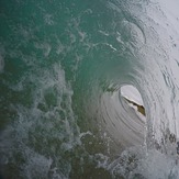 Shorey, Wainui Beach - Whales