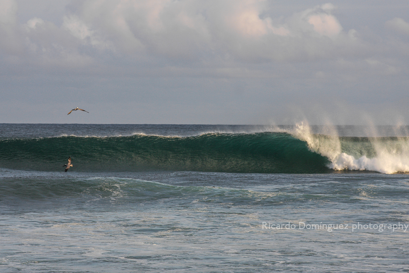 Swell January 13th., La Punta de Las Caracas